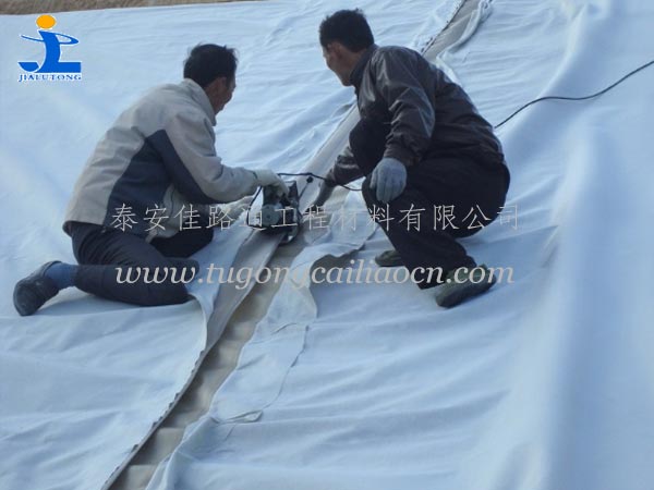 復(fù)合土工膜