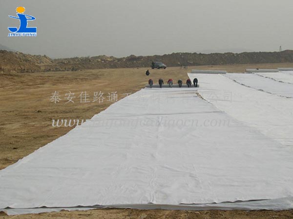 復(fù)合土工膜