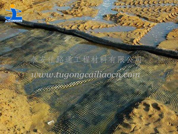 經(jīng)編滌綸土工格柵