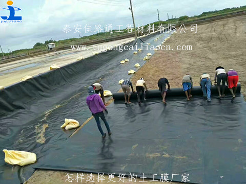 怎樣選擇更好的土工膜廠家