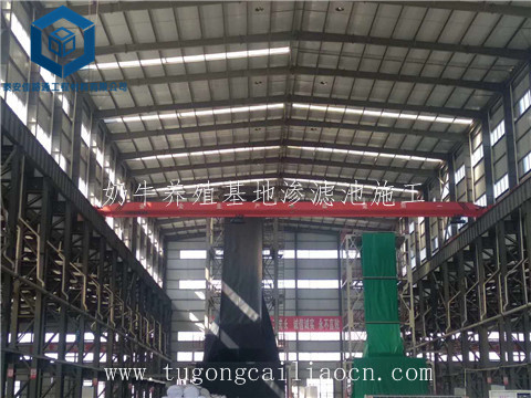 奶牛養(yǎng)殖基地滲濾池施工 奶牛養(yǎng)殖基地滲濾池施工