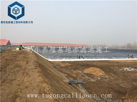 奶牛養(yǎng)殖基地滲濾池施工 奶牛養(yǎng)殖基地滲濾池施工