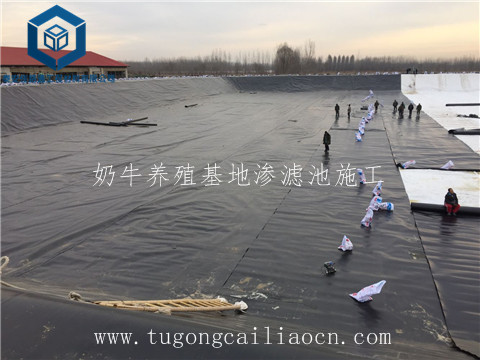 奶牛養(yǎng)殖基地滲濾池施工 奶牛養(yǎng)殖基地滲濾池施工