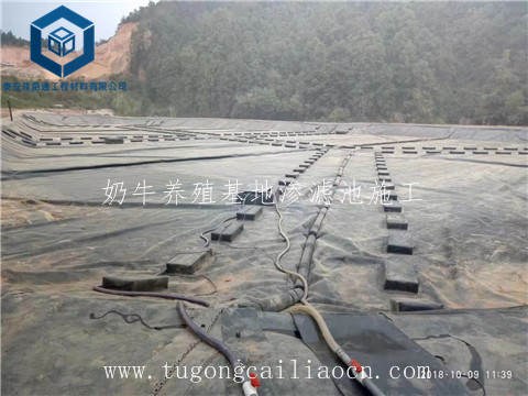 奶牛養(yǎng)殖基地滲濾池施工 奶牛養(yǎng)殖基地滲濾池施工