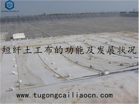 短纖土工布的功能及發(fā)展?fàn)顩r 短纖土工布的功能及發(fā)展?fàn)顩r