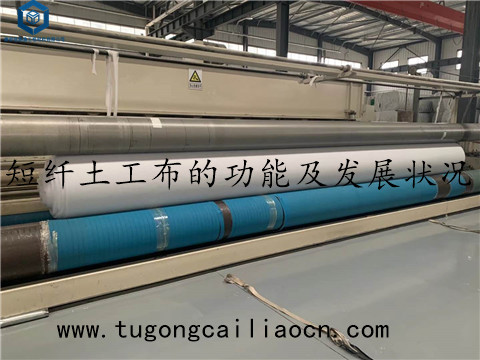 短纖土工布的功能及發(fā)展?fàn)顩r 短纖土工布的功能及發(fā)展?fàn)顩r