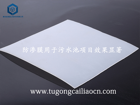 防滲膜用于污水池項目效果顯著