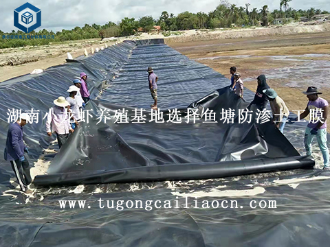 湖南小龍蝦養(yǎng)殖基地選擇魚塘防滲土工膜 湖南小龍蝦養(yǎng)殖基地選擇魚塘防滲土工膜