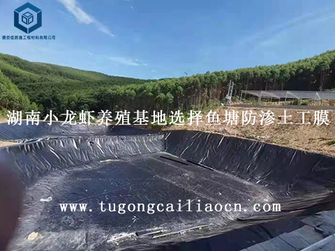 湖南小龍蝦養(yǎng)殖基地選擇魚塘防滲土工膜 湖南小龍蝦養(yǎng)殖基地選擇魚塘防滲土工膜