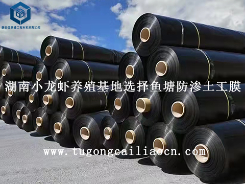 湖南小龍蝦養(yǎng)殖基地選擇魚塘防滲土工膜 湖南小龍蝦養(yǎng)殖基地選擇魚塘防滲土工膜