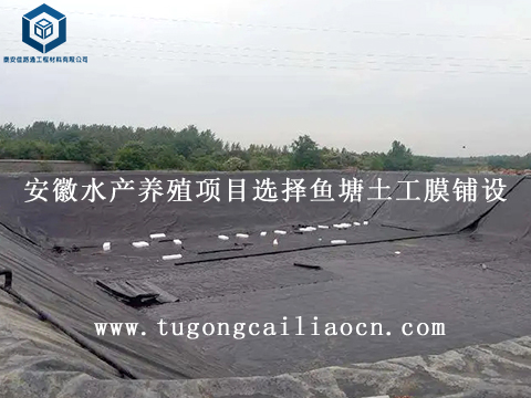 安徽水產(chǎn)養(yǎng)殖項目選擇魚塘土工膜鋪設(shè) 安徽水產(chǎn)養(yǎng)殖項目選擇魚塘土工膜鋪設(shè)