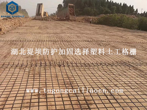 湖北堤壩防護(hù)加固選擇塑料土工格柵 湖北堤壩防護(hù)加固選擇塑料土工格柵