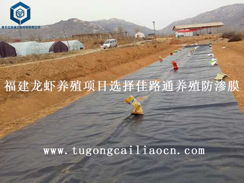 福建龍蝦養(yǎng)殖項目選擇佳路通養(yǎng)殖防滲膜