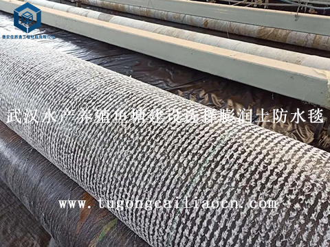 武漢水產(chǎn)養(yǎng)殖魚塘建設(shè)選擇膨潤土防水毯 武漢水產(chǎn)養(yǎng)殖魚塘建設(shè)選擇膨潤土防水毯