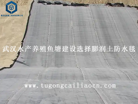 武漢水產(chǎn)養(yǎng)殖魚塘建設(shè)選擇膨潤土防水毯 武漢水產(chǎn)養(yǎng)殖魚塘建設(shè)選擇膨潤土防水毯